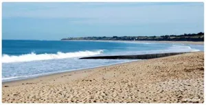 Image of Maison Rétaise près de la Plage