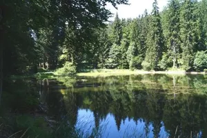 Image of Thüringer Waldbaude