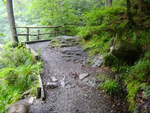 Image of B&B Le Petit Normand