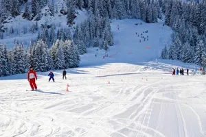 Image of VTF Le Rafour