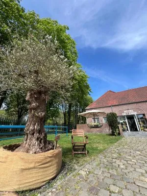 Image of Hotel De Venne