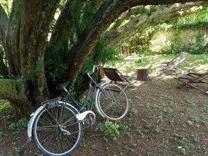 Image of Le Nid des Oiseaux