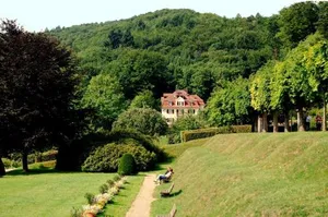 Image of Rhön Hotel Waldcafé St. Georg