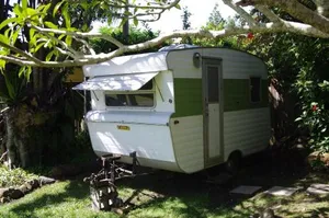 Image of The Tree House, 6 Gowing Street