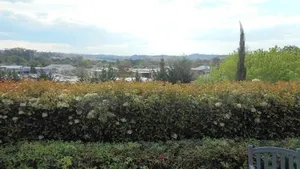 Image of Picton Garden Apartment