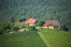 Image of Gästehaus Grasch