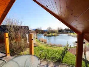 Image of The Green Monkey