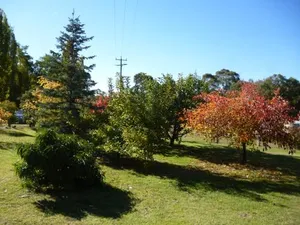Image of Woodvale at Cooma