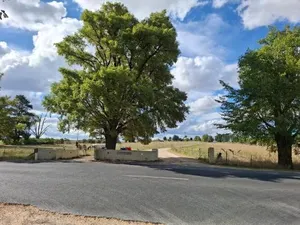 Image of Alloway Bank