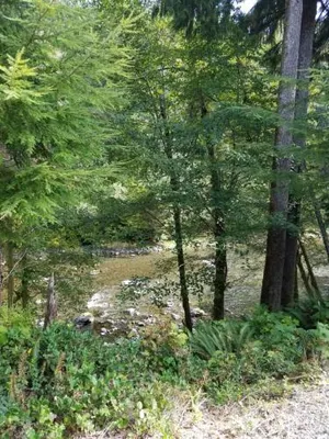 Image of A Relaxing Getaway SolDuc 1