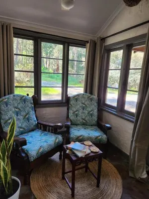 Image of The Lavender Patch