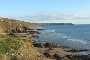 Image of Sunflowers Barn