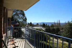 Image of Blue Gums