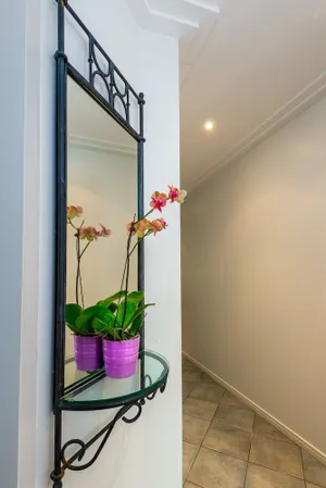 Image of Oasis 8 at Palm Cove