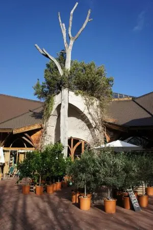 Image of Naturata Hotel