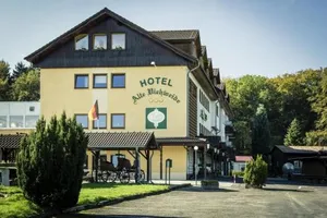 Image of Hotel Alte Viehweide
