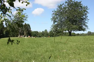 Image of Chambre D'hote Chez Bles