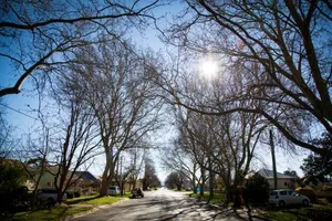 Image of 88 Morrisset