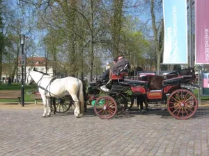 Image of LoggiaHaus am Schloss, 5 Ferienwohnungen, teils mit Schloss- und Seeblick