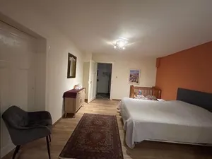 Image of Bel Appartement en RDC proche Strasbourg Nice apartment very near Strasbourg