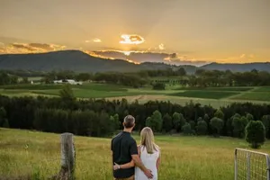Image of Hanging Tree Wines