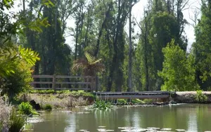 Image of Saladin Lodge