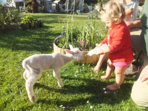 Image of Idyllic Farm Cottage & Petting Zoo