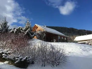 Image of Almchalet