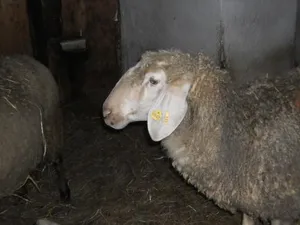 Image of Binderhof