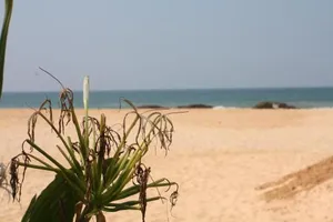 Image of Susee Villa