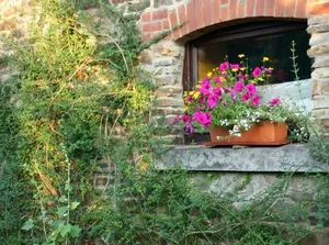 Image of Gite Panda La Sylve