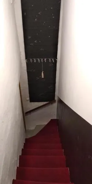 Image of Le nid des Arènes