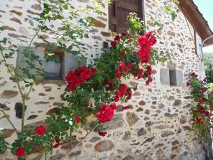 Image of maison d'hotes Le Ranfort