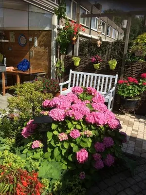Image of Bed and Breakfast Ineke en John