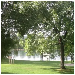 Image of Guest house Pizzeria Pazza da Gianni