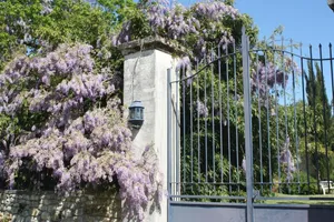 Image of Domaine De La Freynelle