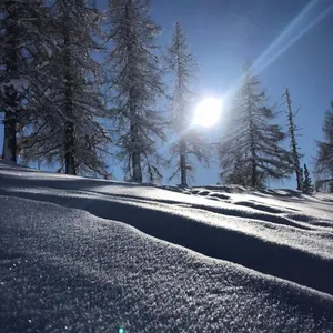 Image of Appartement Ski-Willy