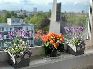 Image of Trendy Apartments