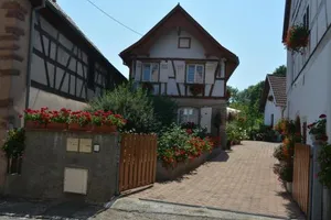 Image of Location Alice