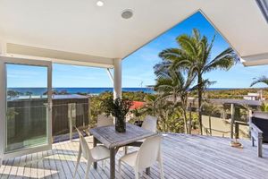 Image of Pandanus - Peregian Beach