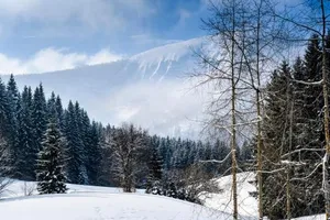 Image of BS-Ötscher
