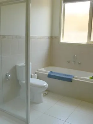 Image of Into Freedom