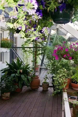 Image of Loft de Cannes B&B