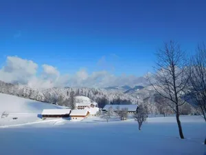 Image of Urlaub am Bauernhof Blamauer Köhr