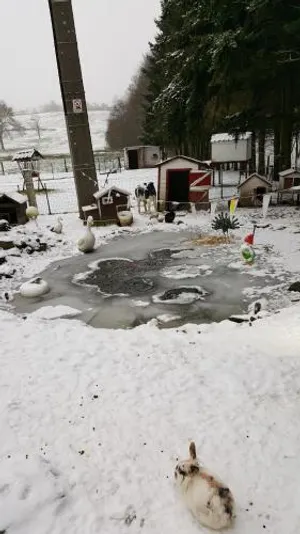 Image of le gite de zoelie