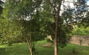 Image of Les cèdres