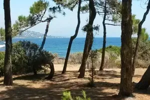 Image of Le Neptune