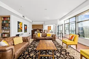 Image of Swainson on Waymouth