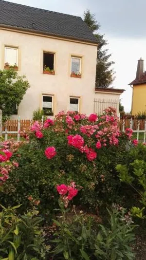 Image of FeWo Strohbach