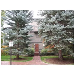 Image of Dollar Meadows by Wyndham Vacation Rentals